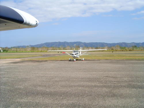 HPIM6532