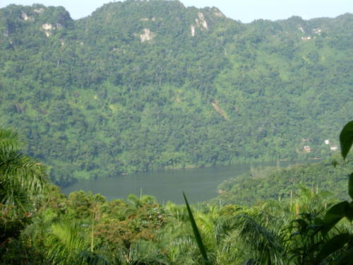 Bosque Rio Abajo